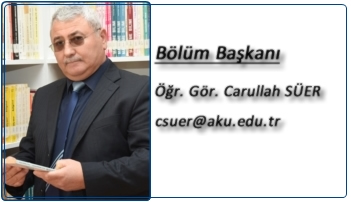 carullah_suer2b
